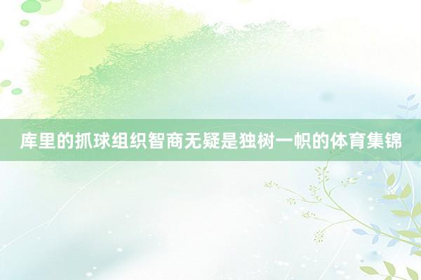 库里的抓球组织智商无疑是独树一帜的体育集锦