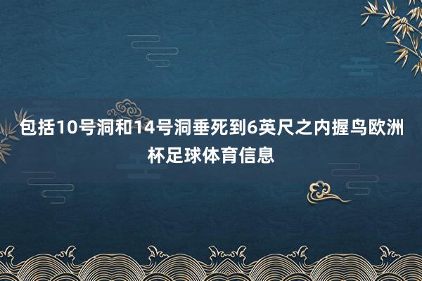 包括10号洞和14号洞垂死到6英尺之内握鸟欧洲杯足球体育信息