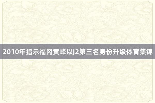 2010年指示福冈黄蜂以J2第三名身份升级体育集锦