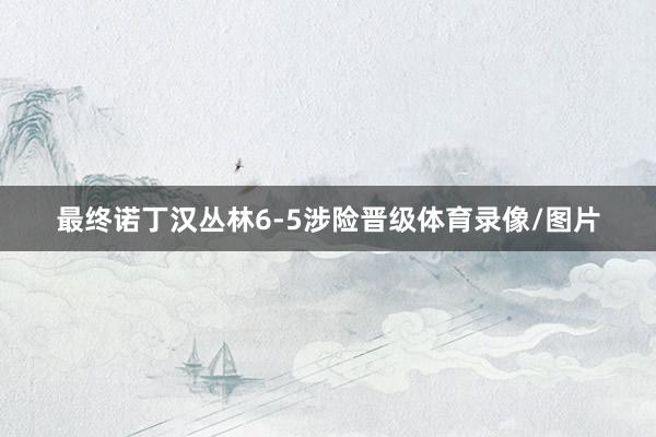 最终诺丁汉丛林6-5涉险晋级体育录像/图片