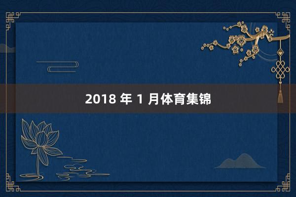 2018 年 1 月体育集锦