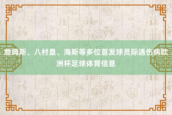 詹姆斯、八村塁、海斯等多位首发球员际遇伤病欧洲杯足球体育信息