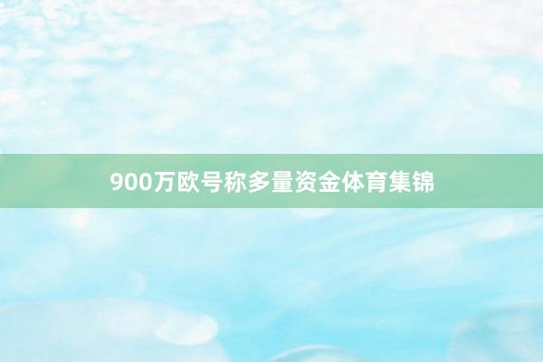 900万欧号称多量资金体育集锦